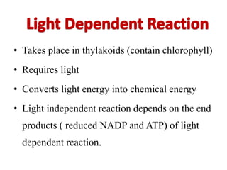 • Takes place in thylakoids (contain chlorophyll)
• Requires light
• Converts light energy into chemical energy
• Light independent reaction depends on the end
products ( reduced NADP and ATP) of light
dependent reaction.
 