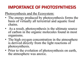 IMPORTANCE OF PHOTOSYNTHESIS
Photosynthesis and the Ecosystem:
• The energy produced by photosynthesis forms the
basis of virtually all terrestrial and aquatic food
chains.
• As a result, photosynthesis is the ultimate source
of carbon in the organic molecules found in most
organisms.
• The high oxygen concentration in the atmosphere
is derived directly from the light reactions of
photosynthesis.
• Prior to the evolution of photosynthesis on earth,
the atmosphere was anoxic.
 