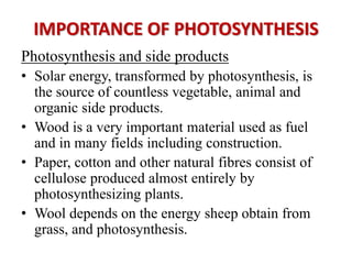 IMPORTANCE OF PHOTOSYNTHESIS
Photosynthesis and side products
• Solar energy, transformed by photosynthesis, is
the source of countless vegetable, animal and
organic side products.
• Wood is a very important material used as fuel
and in many fields including construction.
• Paper, cotton and other natural fibres consist of
cellulose produced almost entirely by
photosynthesizing plants.
• Wool depends on the energy sheep obtain from
grass, and photosynthesis.
 