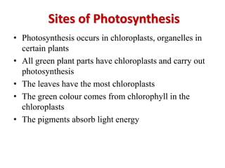 Sites of Photosynthesis
• Photosynthesis occurs in chloroplasts, organelles in
certain plants
• All green plant parts have chloroplasts and carry out
photosynthesis
• The leaves have the most chloroplasts
• The green colour comes from chlorophyll in the
chloroplasts
• The pigments absorb light energy
 