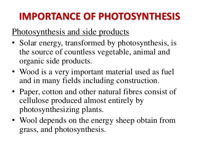 Essays Examples English Proposal Essay Template also Persuasive Essays Examples For High School Describe The Process Of Photosynthesis Essay Process Paper Essay