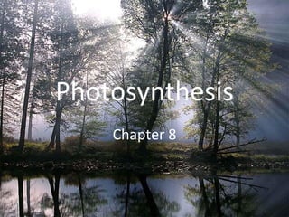 Photosynthesis
Chapter 8
 