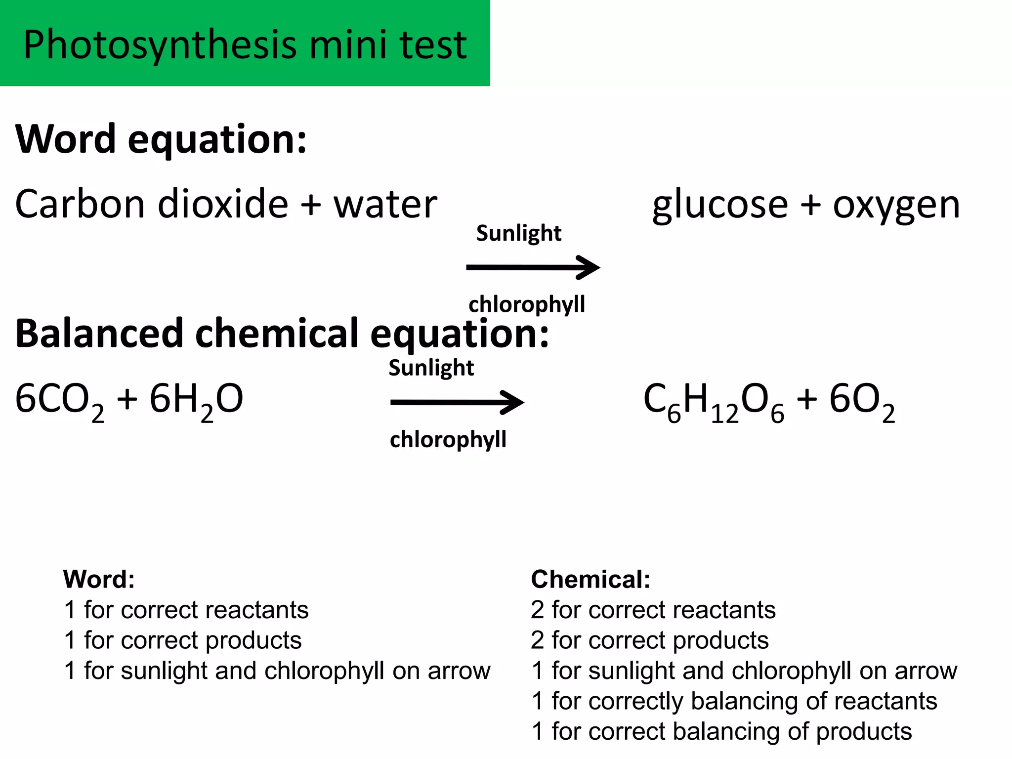 Photosynthesis PPT (1).pptx