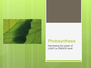 Photosynthesis
Harnessing the power of
LIGHT to CREATE food!
 