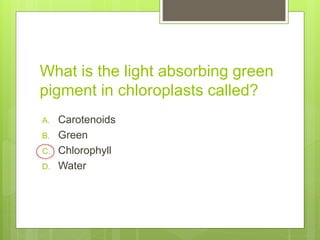 What is the light absorbing green
pigment in chloroplasts called?
A. Carotenoids
B. Green
C. Chlorophyll
D. Water
 