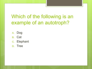 Which of the following is an
example of an autotroph?
A. Dog
B. Cat
C. Elephant
D. Tree
 