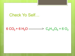 Check Yo Self…
6 CO2 + 6 H2O ------------> C6H12O6 + 6 O2
 