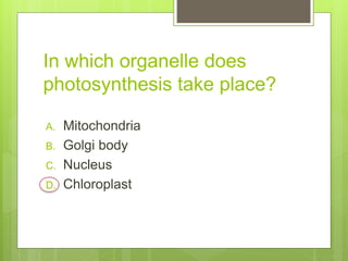 In which organelle does
photosynthesis take place?
A. Mitochondria
B. Golgi body
C. Nucleus
D. Chloroplast
 