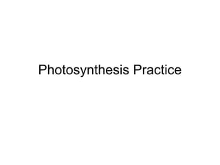Photosynthesis Practice
 