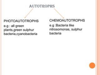 Photosynthesis preeti 12th h.sc