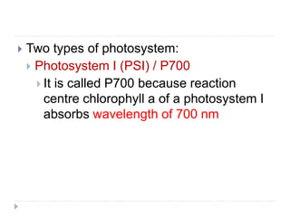  Two types of photosystem:
 Photosystem I (PSI) / P700
 It is called P700 because reaction
centre chlorophyll a of a photosystem I
absorbs wavelength of 700 nm
 