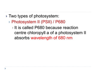  Two types of photosystem:
 Photosystem II (PSII) / P680
 It is called P680 because reaction
centre chloropyll a of a photosystem II
absorbs wavelength of 680 nm
 