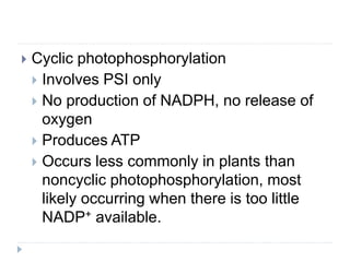  Cyclic photophosphorylation
 Involves PSI only
 No production of NADPH, no release of
oxygen
 Produces ATP
 Occurs less commonly in plants than
noncyclic photophosphorylation, most
likely occurring when there is too little
NADP+ available.
 