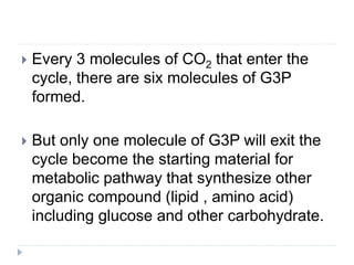  Every 3 molecules of CO2 that enter the
cycle, there are six molecules of G3P
formed.
 But only one molecule of G3P will exit the
cycle become the starting material for
metabolic pathway that synthesize other
organic compound (lipid , amino acid)
including glucose and other carbohydrate.
 