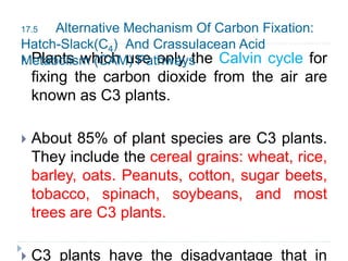  Plants which use only the Calvin cycle for
fixing the carbon dioxide from the air are
known as C3 plants.
 About 85% of plant species are C3 plants.
They include the cereal grains: wheat, rice,
barley, oats. Peanuts, cotton, sugar beets,
tobacco, spinach, soybeans, and most
trees are C3 plants.
 C3 plants have the disadvantage that in
17.5 Alternative Mechanism Of Carbon Fixation:
Hatch-Slack(C4) And Crassulacean Acid
Metabolism (CAM) Pathways
 