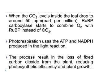  When the CO2 levels inside the leaf drop to
around 50 ppm(part per million), RuBP
carboxylase starts to combine O2 with
RuBP instead of CO2.
 Photorespiration uses the ATP and NADPH
produced in the light reaction.
 The process result in the loss of fixed
carbon dioxide from the plant, reducing
photosynthetic efficiency and plant growth.
 