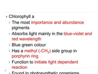 Chlorophyll a
 The most importance and abundance
pigments
 Absorbs light mainly in the blue-violet and
red wavelength
 Blue green colour
 Has a methyl (-CH3) side group in
porphyrin ring
 Function to initiate light dependent
reaction
 