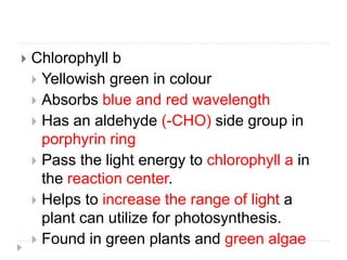  Chlorophyll b
 Yellowish green in colour
 Absorbs blue and red wavelength
 Has an aldehyde (-CHO) side group in
porphyrin ring
 Pass the light energy to chlorophyll a in
the reaction center.
 Helps to increase the range of light a
plant can utilize for photosynthesis.
 Found in green plants and green algae
 
