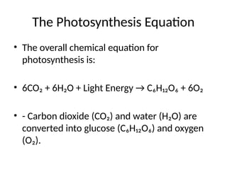 The Photosynthesis Equation
• The overall chemical equation for
photosynthesis is:
• 6CO₂ + 6H₂O + Light Energy → C₆H₁₂O₆ + 6O₂
• - Carbon dioxide (CO₂) and water (H₂O) are
converted into glucose (C₆H₁₂O₆) and oxygen
(O₂).
 