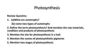 Photosynthesis
Review Questins;
1. (a)What are autotrophs?
(b) name two types of autotrophs
2. Define the term photosynthesis? And mention the raw materials,
condition and products of photosynthesis
3. Mention the site for photosynthesis in a leaf.
4. Mention the names of photosynthetic pigments
5. Mention two stages of photosynthesis
 