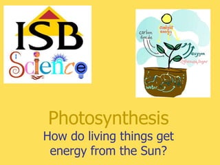 Photosynthesis
How do living things get
 energy from the Sun?
 