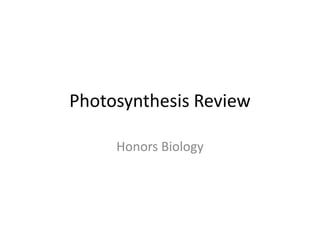 Photosynthesis Review
Honors Biology

 