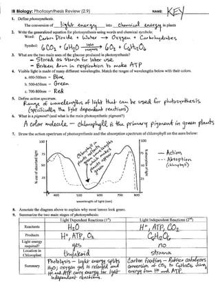 Photosynthesis Review Key (2.9)