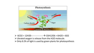  6CO2 + 12H20----------------- C6H12O6 + 6H2O + 6O2
Librated oxygen is release from the H2O molecule.
Only 0.2% of light is used by green plants for photosynthesis
 