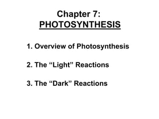 Chapter 7:
PHOTOSYNTHESIS
2. The “Light” Reactions
1. Overview of Photosynthesis
3. The “Dark” Reactions
 