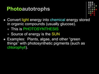 PhotoautotrophsConvert light energy into chemical energy stored in organic compounds (usually glucose).This is PHOTOSYNTHESISSource of energy is the SUNExamples:  Plants, algae, and other “green things” with photosynthetic pigments (such as chlorophyll).