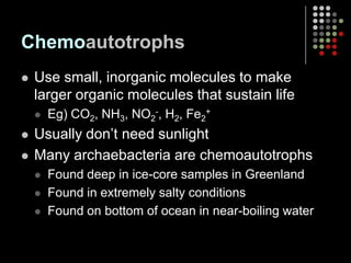 ChemoautotrophsUse small, inorganic molecules to make larger organic molecules that sustain lifeEg) CO2, NH3, NO2-, H2, Fe2+Usually don’t need sunlightMany archaebacteria are chemoautotrophsFound deep in ice-core samples in GreenlandFound in extremely salty conditionsFound on bottom of ocean in near-boiling water