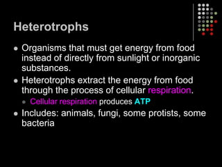 HeterotrophsOrganisms that must get energy from food instead of directly from sunlight or inorganic substances.Heterotrophs extract the energy from food through the process of cellular respiration.Cellular respiration produces ATPIncludes: animals, fungi, some protists, some bacteria