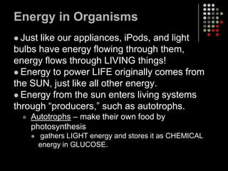 Energy in OrganismsJust like our appliances, iPods, and light bulbs have energy flowing through them, energy flows through LIVING things!Energy to power LIFE originally comes from the SUN, just like all other energy.Energy from the sun enters living systems through “producers,” such as autotrophs.Autotrophs – make their own food by photosynthesis gathers LIGHT energy and stores it as CHEMICAL energy in GLUCOSE.