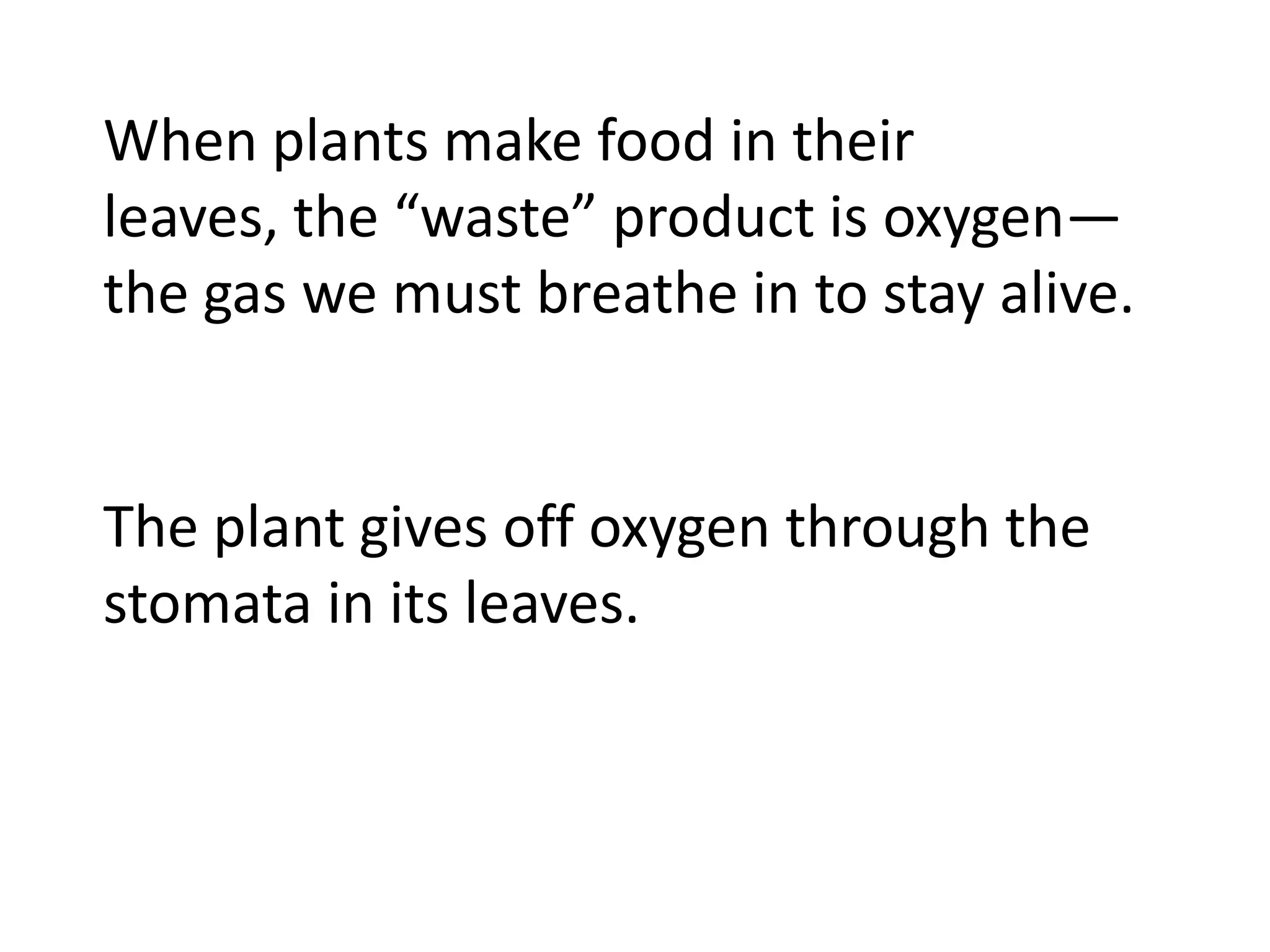 Photosynthesis (teach) | PPTX