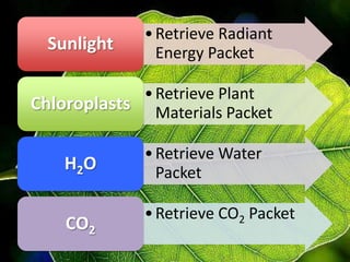 Photosynthesis teach 1 | PPTX