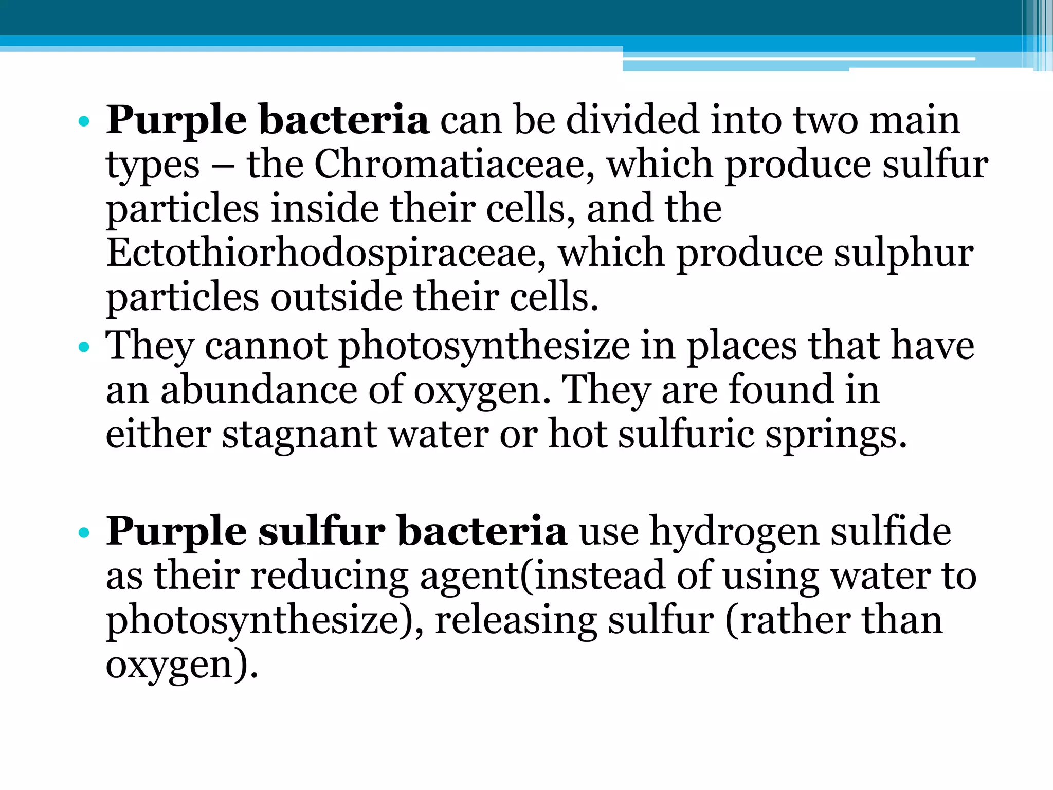 Photosynthesis in bacteria and its types | PPT