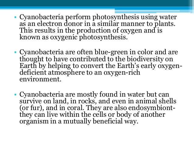 Photosynthesis in bacteria and its types