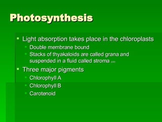 Photosynthesis Light absorption takes place in the chloroplasts Double membrane bound Stacks of thyakaloids are called grana and suspended in a fluid called stroma  (CD) Three major pigments Chlorophyll A Chlorophyll B Carotenoid 