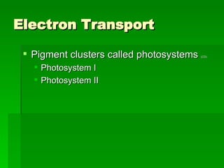 Electron Transport Pigment clusters called photosystems  (CD). Photosystem I  Photosystem II 