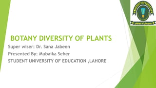 BOTANY DIVERSITY OF PLANTS
Super wiser: Dr. Sana Jabeen
Presented By: Mubaika Seher
STUDENT UNIVERSITY OF EDUCATION ,LAHORE
 