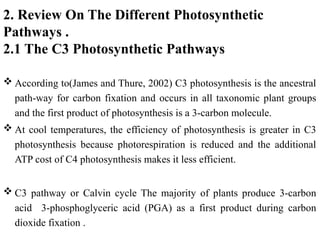 There are three distinct photosynthetic pathways such as C3, C4 and CAM ...