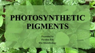 PHOTOSYNTHETIC
PIGMENTS
Presented by
Pavithra B R
BSc Microbiology
 