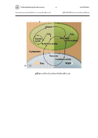 โรงเรียนมหิดลวิทยานุสรณ์ (องค์การมหาชน) สาขาวิชาชีววิทยา
เอกสารประกอบการสอนวิชาชีววิทยา 4 (ว 40144) ปีการศึกษา 2549 ปฏิกิริยาที่เกิดขึ้นในกระบวนการสังเคราะห์ด้วยแสง
84
รูปที่ 20 การตรึงคาร์บอนไดออกไซด์ของพืช CAM
 