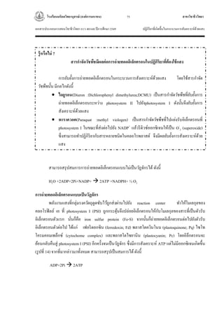 โรงเรียนมหิดลวิทยานุสรณ์ (องค์การมหาชน) สาขาวิชาชีววิทยา
เอกสารประกอบการสอนวิชาชีววิทยา 4 (ว 40144) ปีการศึกษา 2549 ปฏิกิริยาที่เกิดขึ้นในกระบวนการสังเคราะห์ด้วยแสง
75
สามารถสรุปสมการการถ่ายทอดอิเล็กตรอนแบบไม่เป็นวัฏจักรได้ ดังนี้
H2O +2ADP+2Pi+NADP+  2ATP +NADPH+ ½ O2
การถ่ายทอดอิเล็กตรอนแบบเป็นวัฏจักร
พลังงานแสงที่กลุ่มรงควัตถุดูดซับไว้ถูกส่งผ่านไปยัง reaction center ทาให้โมเลกุลของ
คลอโรฟิลล์ เอ ที่ photosystem I (PSI) ถูกกระตุ้นจึงปล่อยอิเล็กตรอนให้กับโมเลกุลของสารที่เป็นตัวรับ
อิเล็กตรอนตัวแรก นั่นก็คือ iron sulfur protein (Fe-S) จากนั้นก็ถ่ายทอดอิเล็กตรอนต่อไปยังตัวรับ
อิเล็กตรอนตัวต่อไป ได้แก่ เฟอริดอกซิน (ferredoxin; Fd) พลาสโตควินโนน (plastoquinone; Pq) ไซโท
โครมคอมเพล็กซ์ (cytochome complex) และพลาสโตไซยานิน (plastocyanin; Pc) โดยอิล็กตรอนจะ
ย้อนกลับคืนสู่ photosystem I (PSI) อีกครั้งจนเป็นวัฏจักร ซึ่งมีการสังเคราะห์ ATP แต่ไม่มีออกซิเจนเกิดขึ้น
(รูปที่ 14) จากที่มากล่าวมาทั้งหมด สามารถสรุปเป็นสมการได้ดังนี้
ADP+2Pi  2ATP
รู้หรือไม่ ?
สารกาจัดวัชพืชมีผลต่อการถ่ายทอดอิเล็กตรอนในปฏิกิริยาที่ต้องใช้แสง
การยับยั้งการถ่ายทอดอิเล็กตรอนในกระบวนการสังเคราะห์ด้วยแสง โดยใช้สารกาจัด
วัชพืชนั้น มีกลไกดังนี้
 ไดยูรอน(Diuron :Dichlorophenyl dimethylurea;DCMU) เป็นสารกาจัดวัชพืชที่ยับยั้งการ
ถ่ายทอดอิเล็กตรอนระหว่าง photosystem II ไปยังphotosystem I ดังนั้นจึงยับยั้งการ
สังเคราะห์ด้วยแสง
 พาราควอต(Paraquat :methyl viologen) เป็นสารกาจัดวัชพืชที่ไปแย่งรับอิเล็กตรอนที่
photosystem I ในขณะที่ส่งต่อไปยัง NADP+
แล้วรีดิวซ์ออกซิเจนให้เป็น O-
2 (superoxide)
ซึ่งสามารถทาปฏิกิริยากับสารหลายชนิดในคลอโรพลาสต์ จึงมีผลยับยั้งการสังเคราะห์ด้วย
แสง
 
