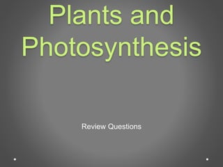 Plants and 
Photosynthesis 
Review Questions 
 