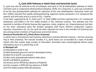 C4 Cycle (HSK Pathway or Hatch Slack and Kortschak Cycle):
C4 cycle may also be referred as the di-carboxylic acid cycle or the β-carboxylation pathway or Hatch
and Slack cycle or cooperative photosynthesis (Karpilov, 1970). For a long time, C3 cycle was considered
to be the only photosynthetic pathway for reduction of CO2 into carbohydrates. Kortschak, Hartt and
Burr (1965) reported that rapidly photosynthesizing sugarcane leaves produced a 4-C compound like
aspartic acid and malic acid as a result of CO2 – fixation.
It was later supported by M. D. Hatch and C. R. Slack (1966) and they reported that a 4-C compound
oxaloacetic acid (OAA) is the first stable product in CO2 reduction process. This pathway was first
reported in members of family Poaceae like sugarcane, maize, sorghum, etc. (tropical grasses), but later
on the other subtropical plant like Atriplex spongiosa (Salt bush), Dititaria samguinolis, Cyperus
rotundus, Amaranthus etc. So, the cycle has been reported not only in the members of Graminae but
also among certain members of Cyperaceae and certain dicots.
Structural Peculiarities of C4 Plants (Kranz Anatomy):
C4 plants have a characteristic leaf anatomy called Kranz anatomy (Wreath anatomy – German meaning
ring or Helo anatomy). The vascular bundles in C4 plant leaves are surrounded by a layer of bundle
sheath cells that contain large number of chloroplast. Dimorphic (two morphologically distinct type)
chloroplasts occur in C4 plants (Fig. 6.13).
In Mesopyll cell:
(i) Chloroplast is small in size
(ii) Well developed grannum and less developed stroma.
(iii) Both PS-II and PS-I are present.
(iv) Non cyclic photophosphorylation takes place.
(v) ATP and NADPH2 produces.
(vi) Stroma carries PEPCO but absence of RuBisCO.
(vii) CO2 acceptor is PEPA (3C) but absence of RUBP
(viii) First stable product OAA (4C) produces.
 