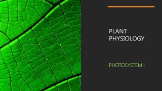 PLANT
PHYSIOLOGY
PHOTOSYSTEM I
 