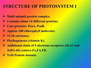 Photosystem first &cytochrome b6f | PPTX