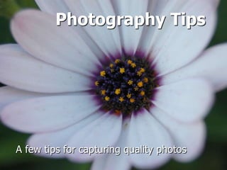 Photography Tips A few tips for capturing quality photos 