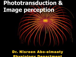 Phototransduction & Image perception Dr. Nisreen Abo-elmaaty Physiology Department 